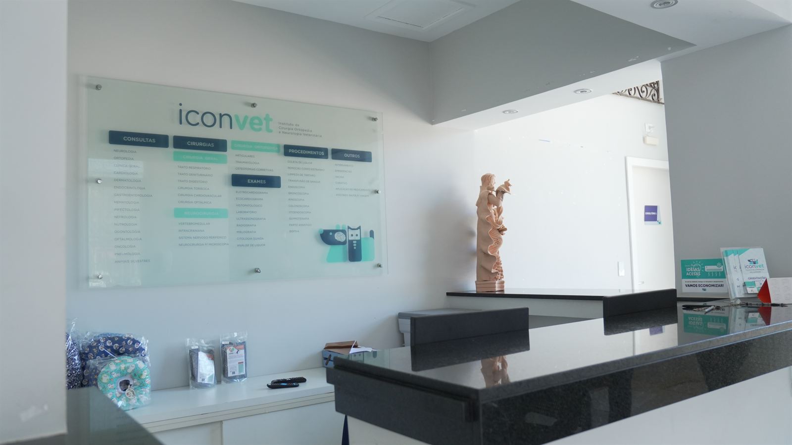 Recepção da Iconvet