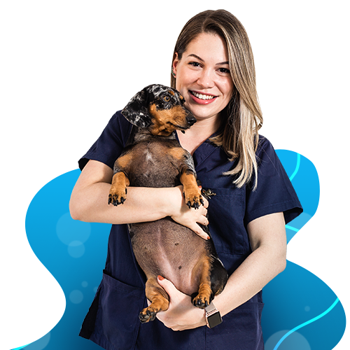 Veterinária Iconvet